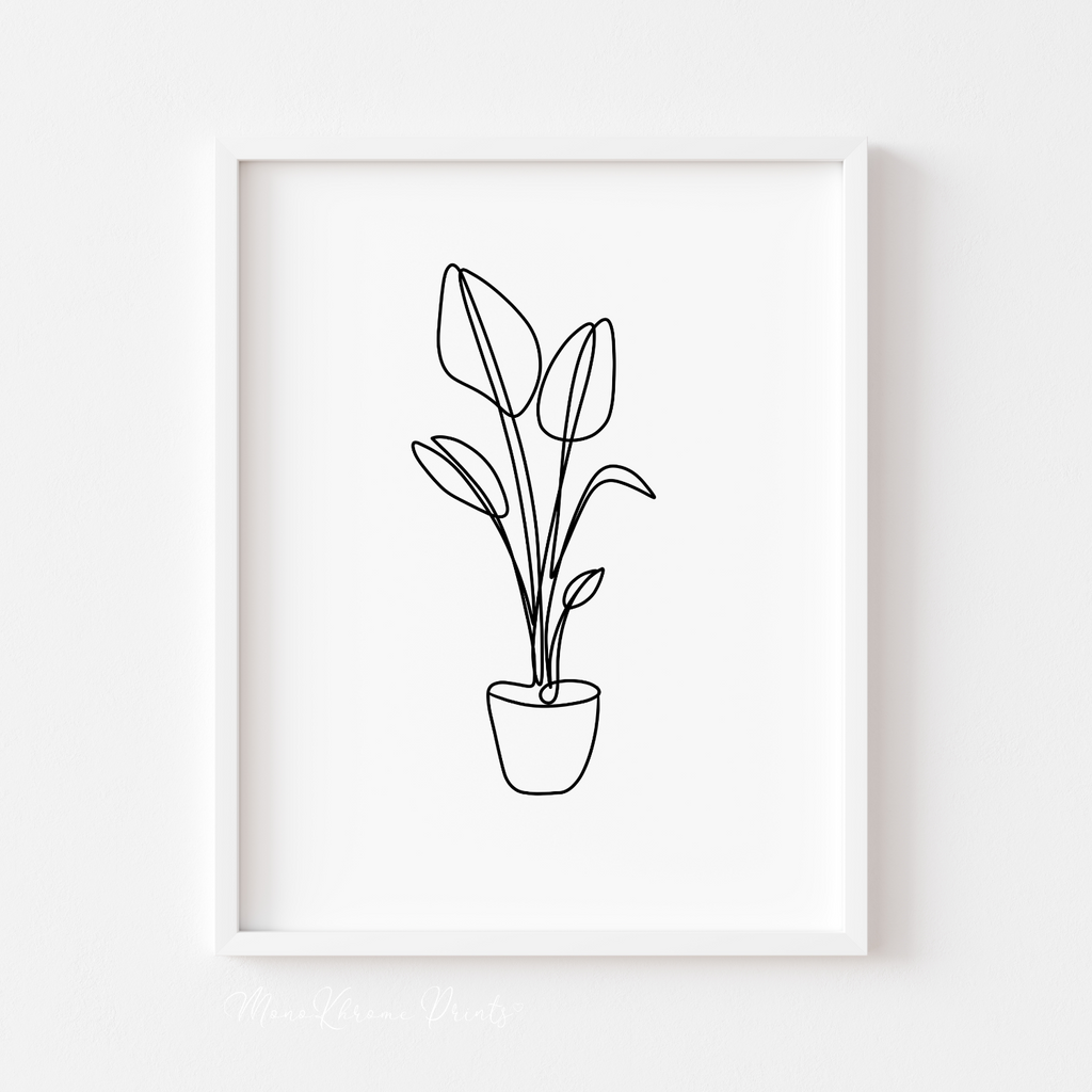 Plant - Affiche décorative